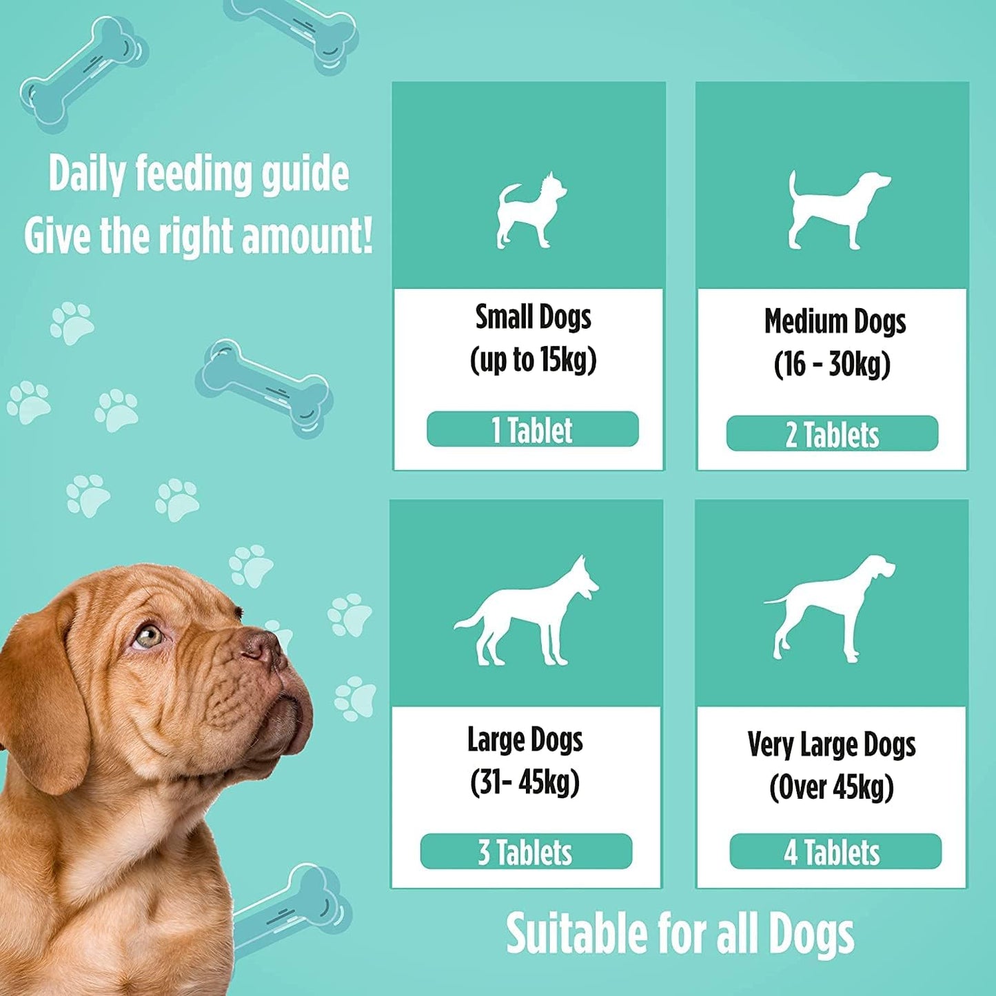 Digestion - Digestive Support for Dogs