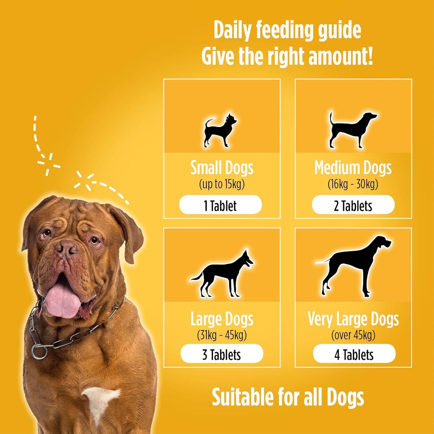Agile - Hip & Joint Support for all Dogs
