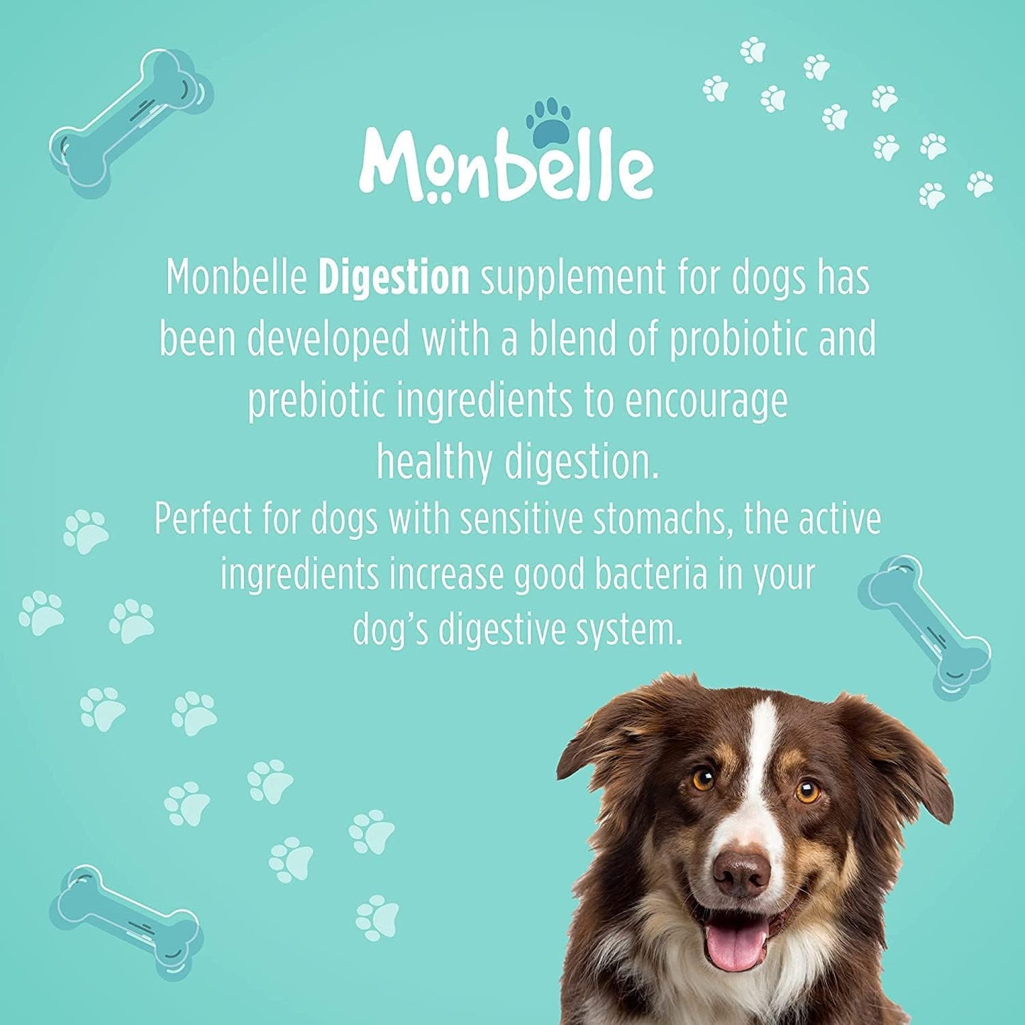 Digestion - Digestive Support for Dogs