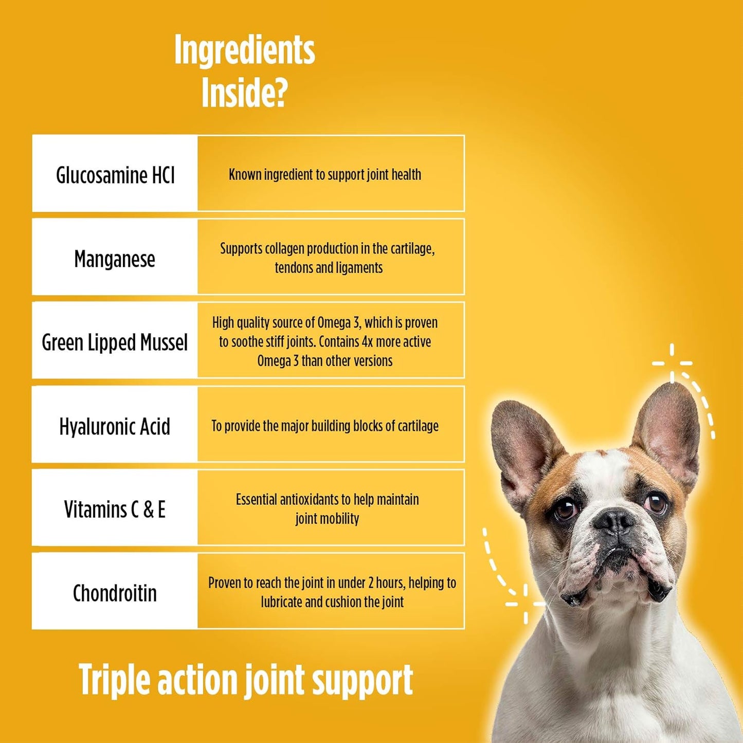 Agile - Hip & Joint Support for all Dogs
