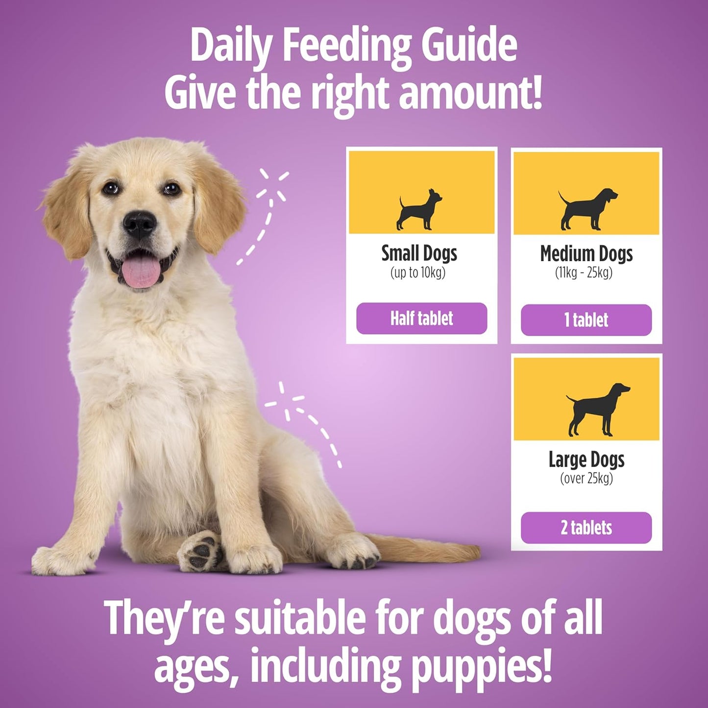 Multivitamin Supplement for Dogs, Chewable Tablets