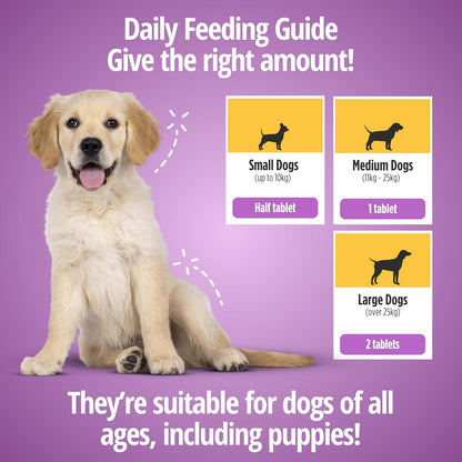 Multivitamin Supplement for Dogs, Chewable Tablets