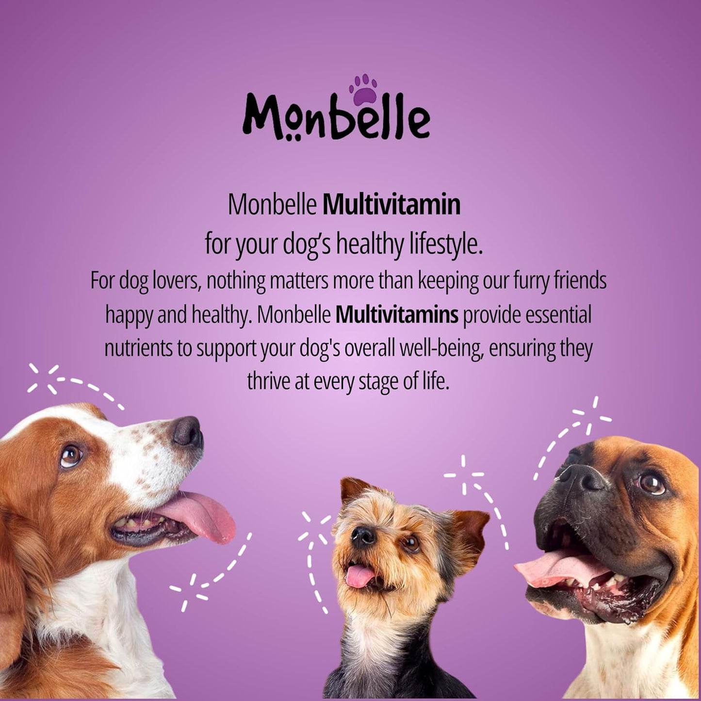 Multivitamin Supplement for Dogs, Chewable Tablets